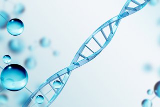 胎儿DNA亲子鉴定要多久出结果？