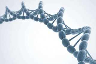 生物公司做DNA亲子鉴定需要多少钱一次，亲子鉴定费用怎么收的