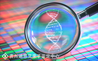 成都亲子鉴定