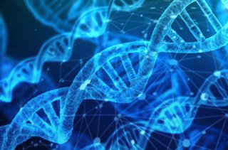 DNA亲子鉴定会有人作假吗？