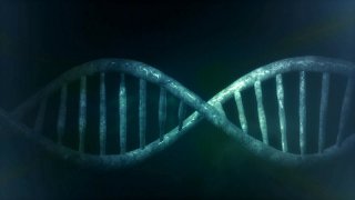 什么是DNA亲子鉴定？做DNA亲子鉴定要注意什么？