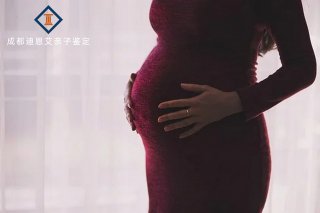 成都胎儿亲子鉴定多少钱？