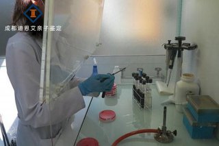 成都哪里鉴定亲子鉴定